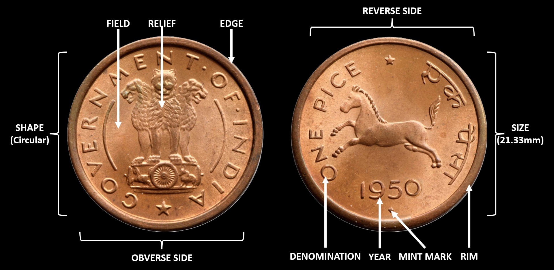 Diagram of Coin Anatomy